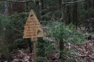 Holzschild im Wald
