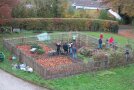 Personen knien über Beeten im Schulgarten