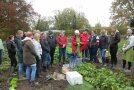 Personen in Schulgarten 