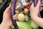 verschiedenes Gemüse in Kisten