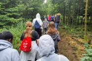 Gruppe von Jugendlichen von Hinten im Wald