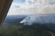 Blick aus einem Flugzeug wo ein Waldgebiet mit Rauchsäulen zu sehen ist