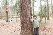 Junge steht neben einem Baum und jubelt