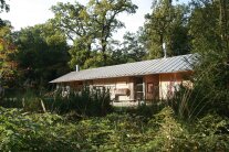 Haus umgeben von Wald und Gebüsch im Nachmittagslicht