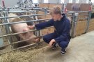 Ein junger Mann streichelt ein Schwein