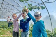 Mehrere Kinder halten einen Kohlrabi