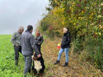 Gruppe steht vor Hecke