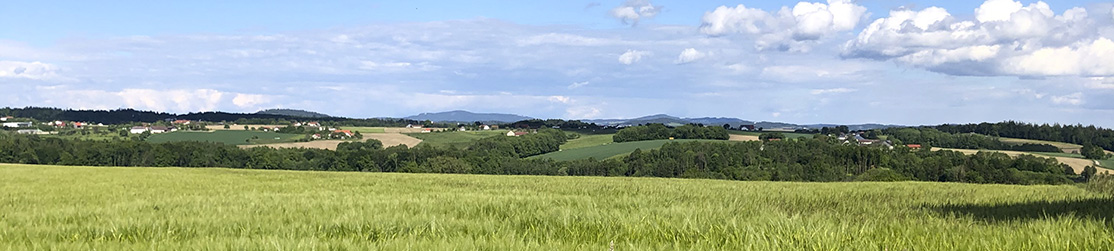 Panorama Bild mit Feldern, Wald und Wiesen