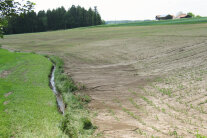 Erosionsgeschädigtes Feld in Hanglage,