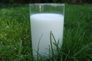 Glas mit Milch auf einer Wiese